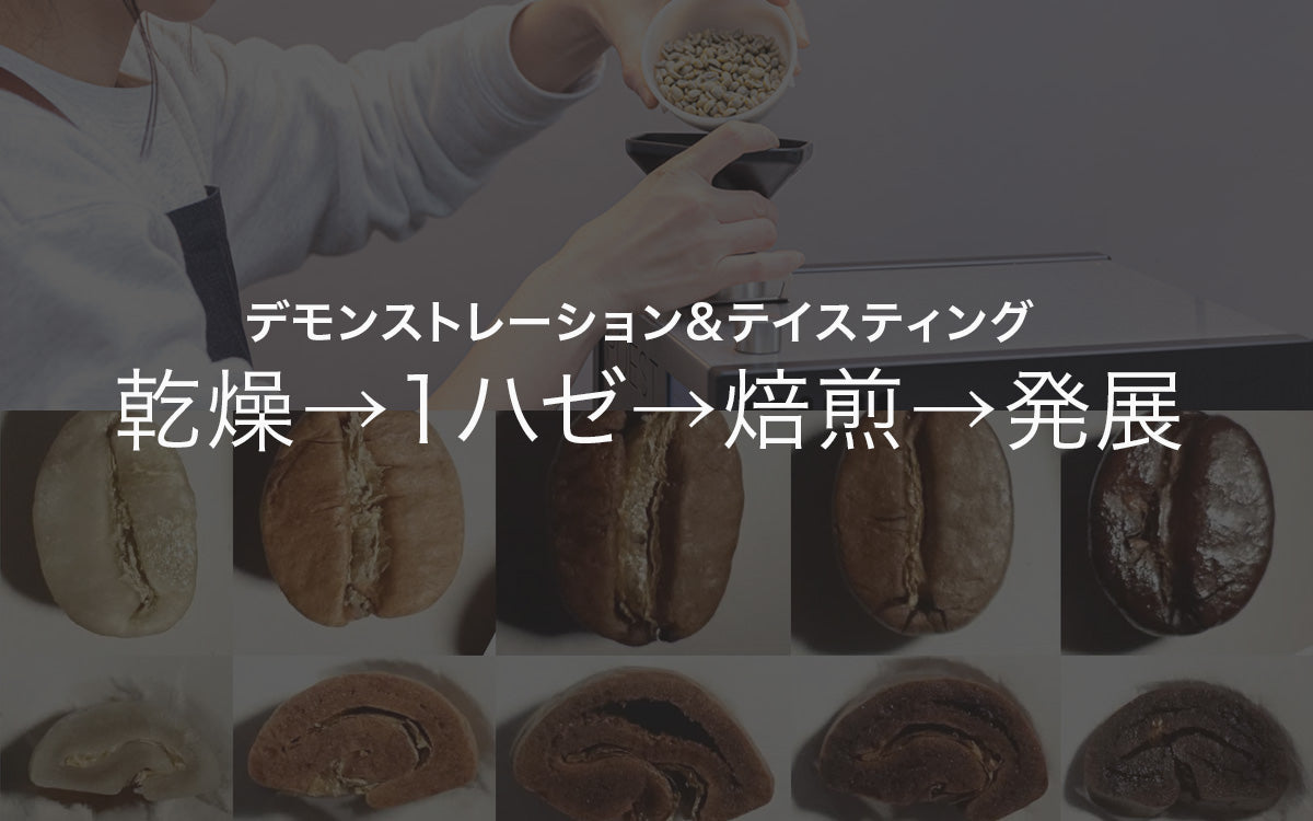 【ビギナー向け集中講座】バリスタのための美味しさの設計学