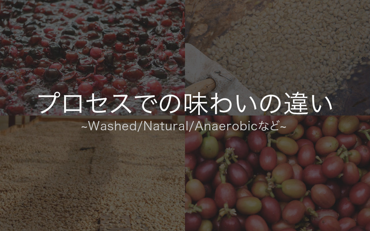 【ビギナー向け集中講座】バリスタのための美味しさの設計学