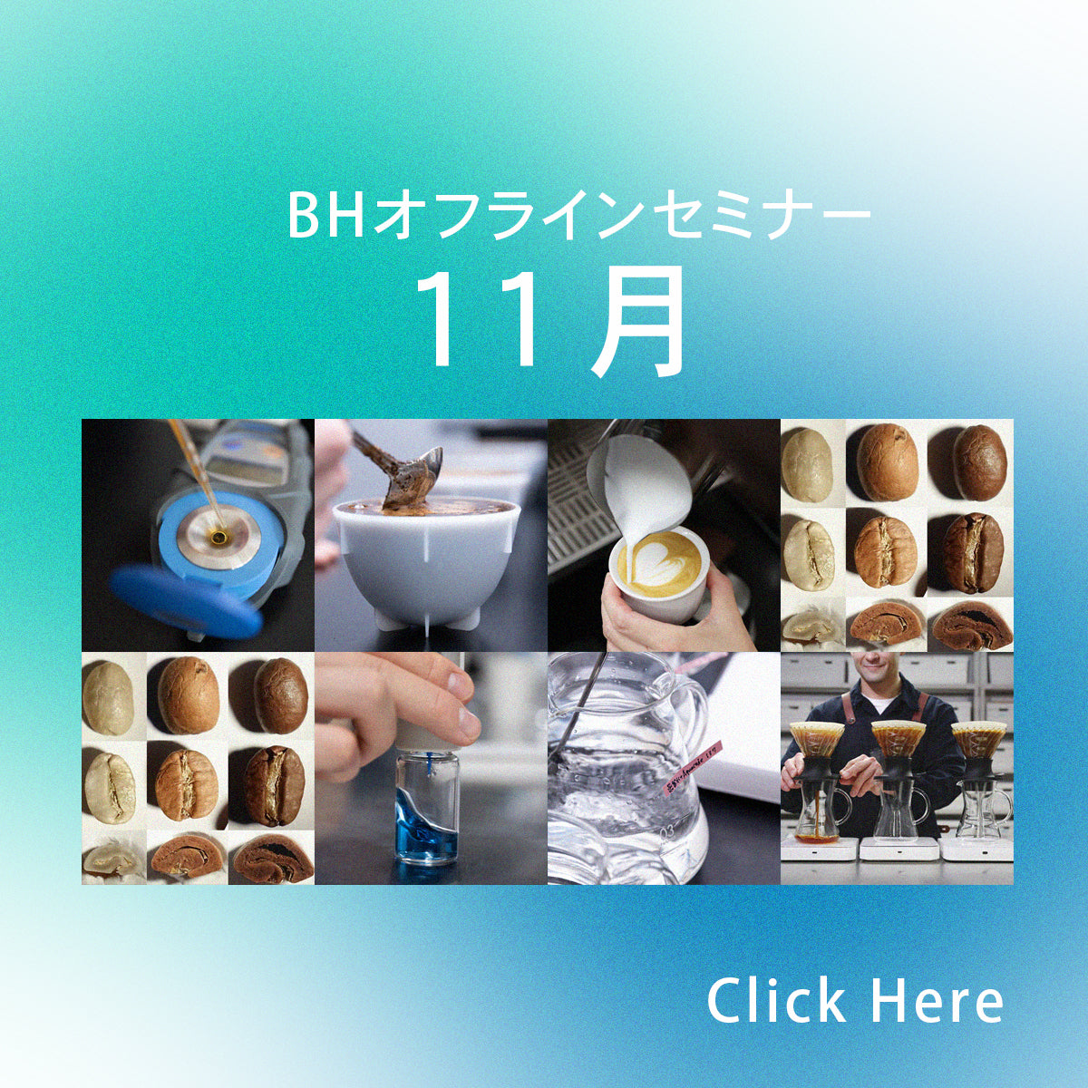 11月開催はこちら