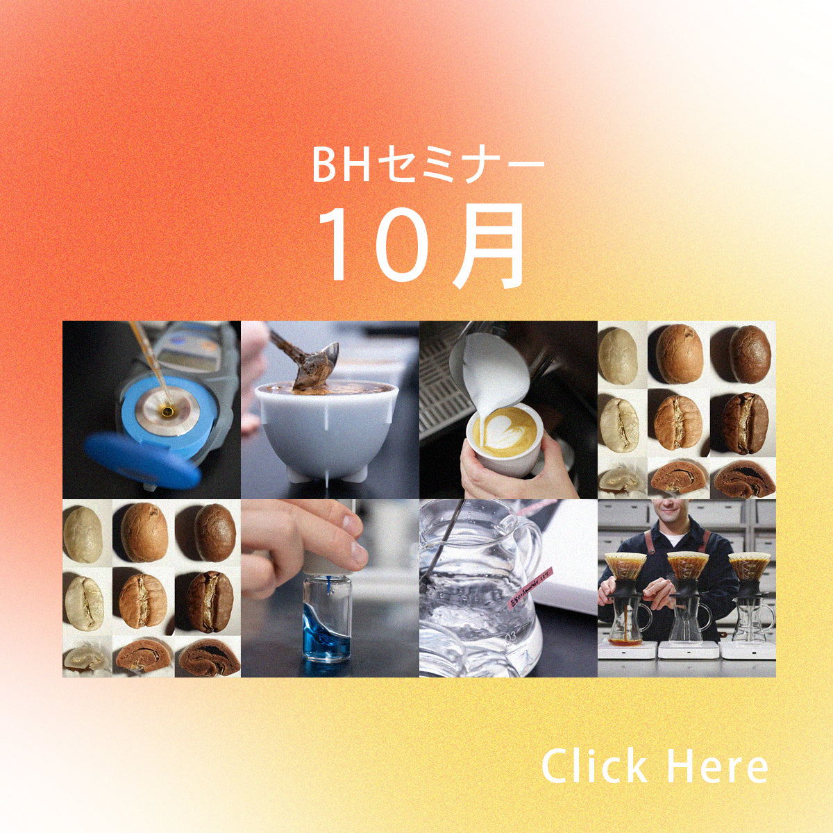 10月開催はこちら