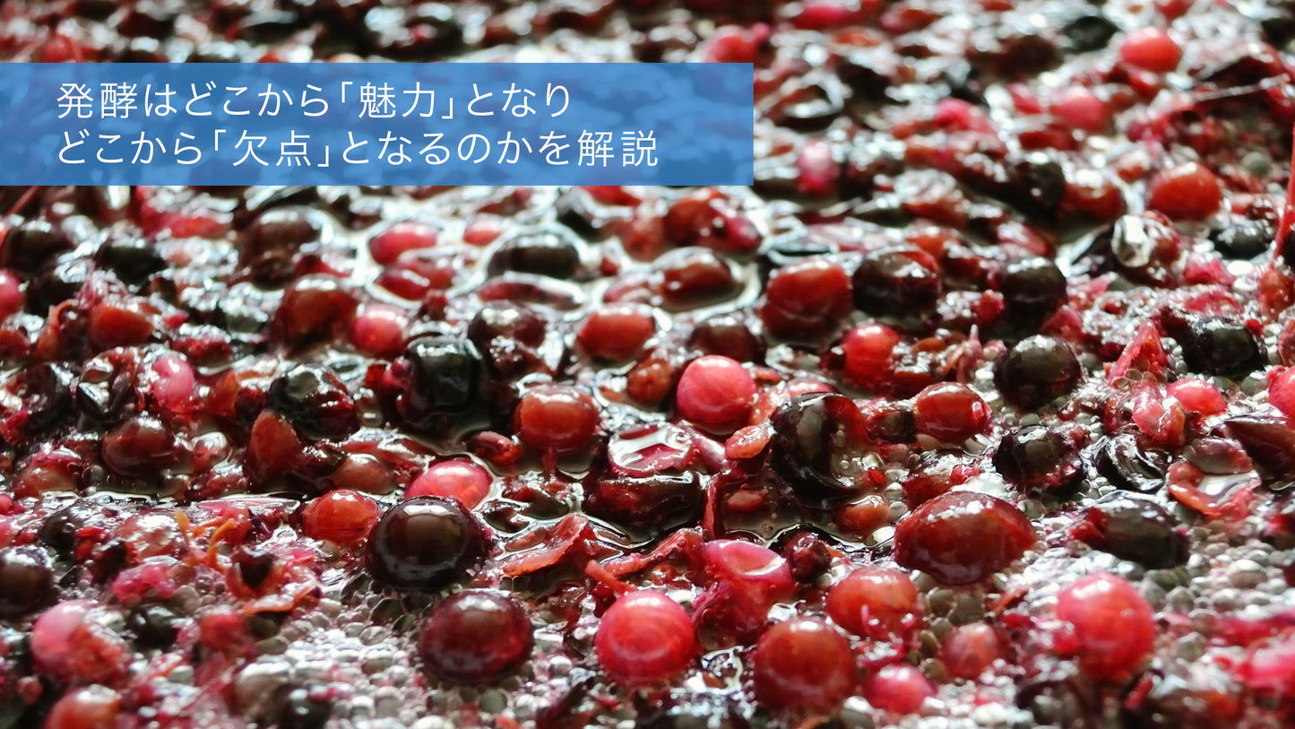 特別セミナー『"おいしい"の正体を科学する~味覚を鍛え抽出のクオリティーを高める~』