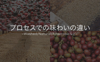 【ビギナー向け集中講座】バリスタのための美味しさの設計学